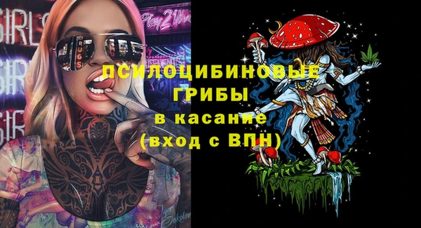 амф Алзамай