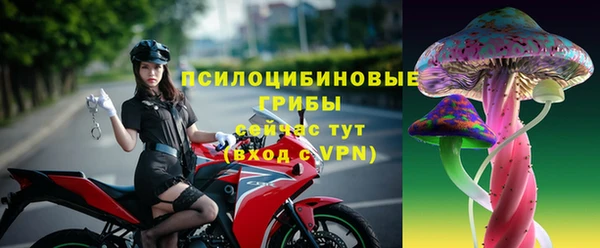 амф Алзамай