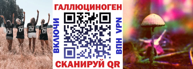дарнет шоп  Красногорск  Галлюциногенные грибы GOLDEN TEACHER 