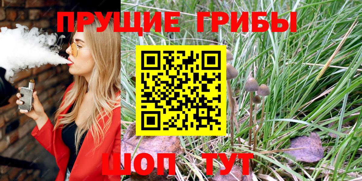 Псилоцибиновые грибы мицелий Красногорск