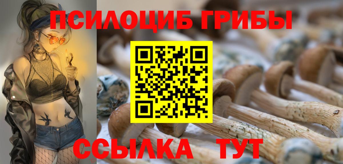 Псилоцибиновые грибы мицелий  Вход с VPN  магазин  наркотиков  Красногорск 
